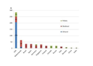 Largest Production Capacity Developer